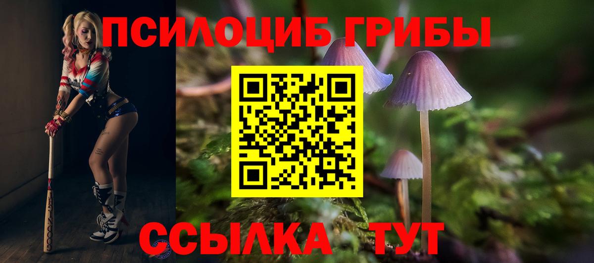 Галлюциногенные грибы MAGIC MUSHROOMS Волхов