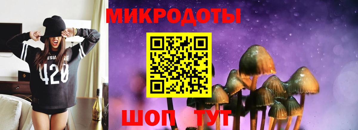 Псилоцибиновые грибы Psilocybine cubensis  сколько стоит  Волхов  Вход с VPN  Галлюциногенные грибы Psilocybine cubensis 